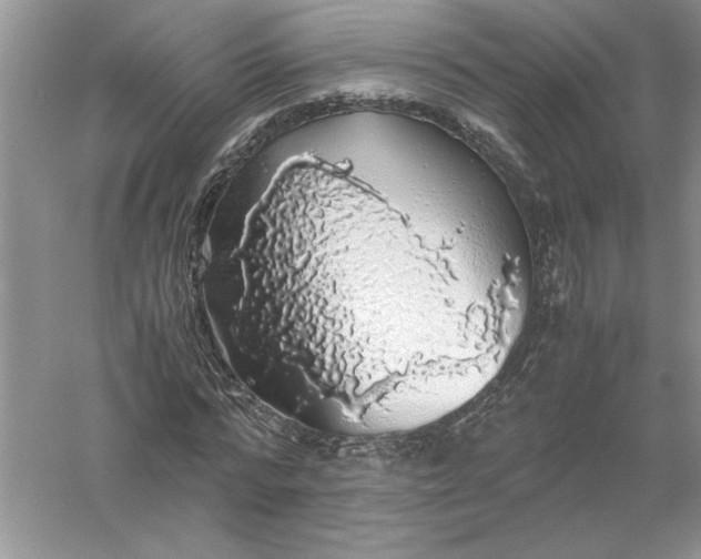 X0000055980776200509091952