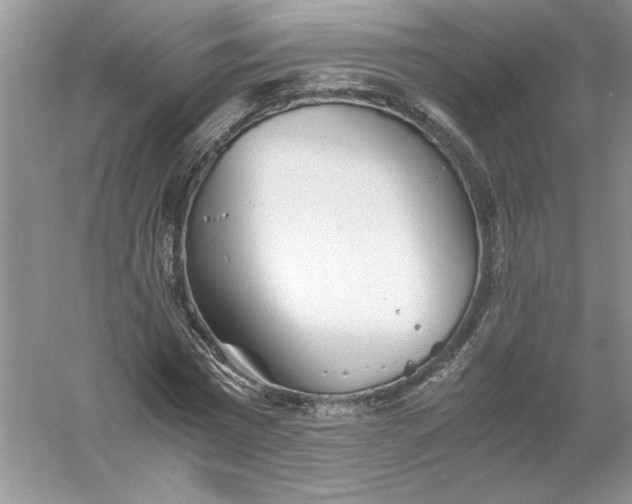 X0000055980777200509091952