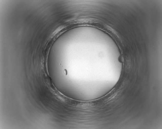 X0000055980778200509091952