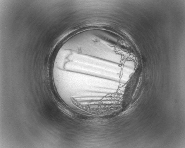 X0000055980779200509091952