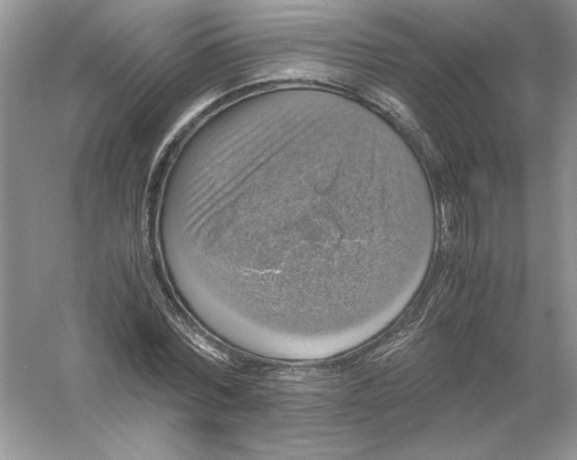 X0000055980780200509091952