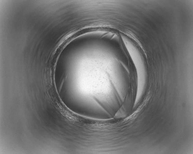 X0000055980781200509091952