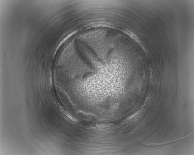 X0000055980782200509091952