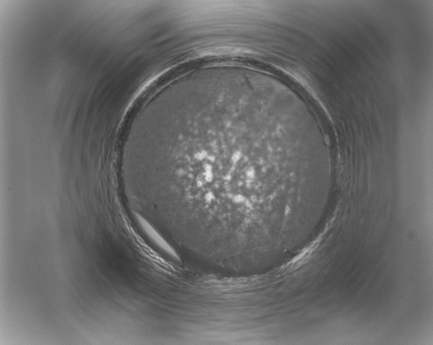 X0000055980783200509091952