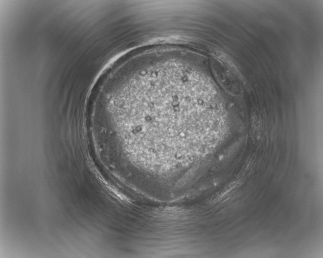 X0000055980784200509091952