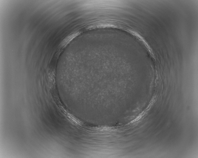 X0000055980785200509091952