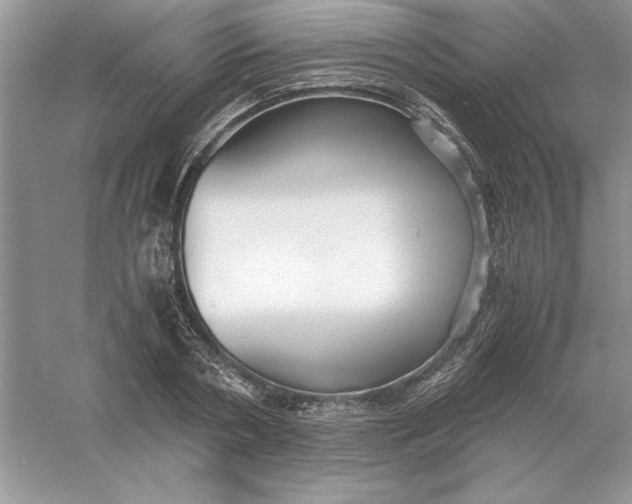 X0000055980786200509091952