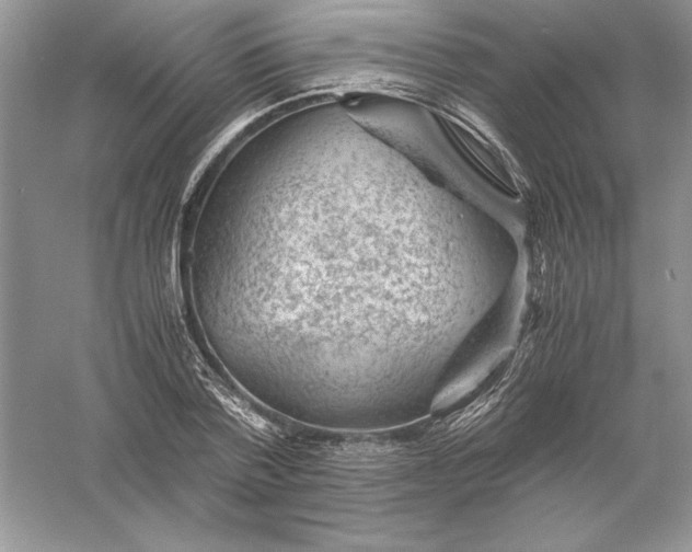 X0000055980788200509091952