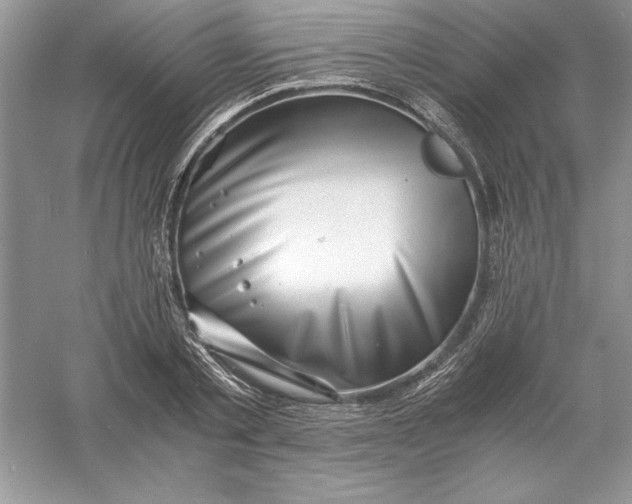 X0000055980789200509091952