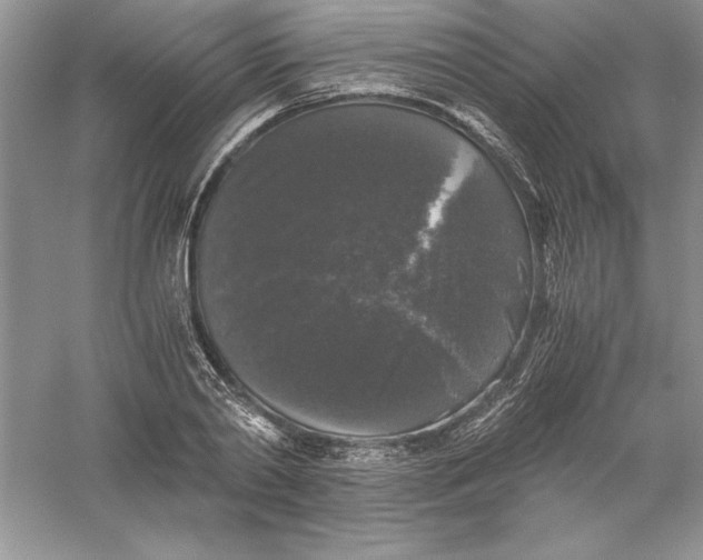 X0000055980790200509091952