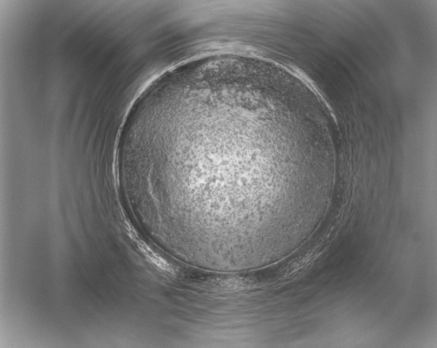 X0000055980791200509091952