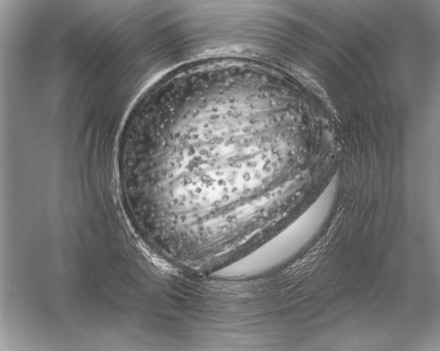 X0000055980792200509091952