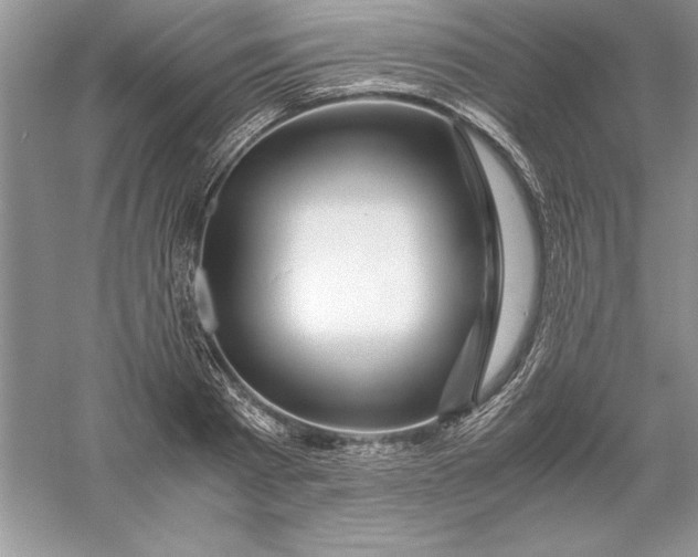 X0000055980793200509091952