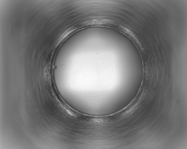 X0000055980794200509091952