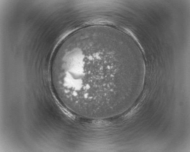 X0000055980795200509091952