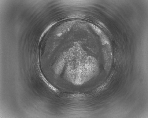 X0000055980796200509091952