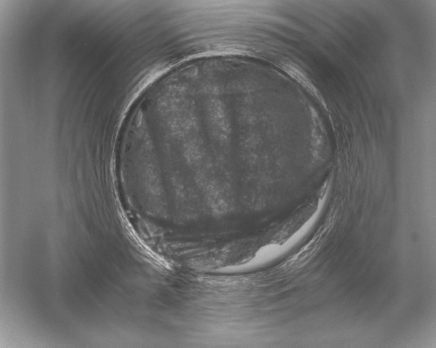 X0000055980797200509091952