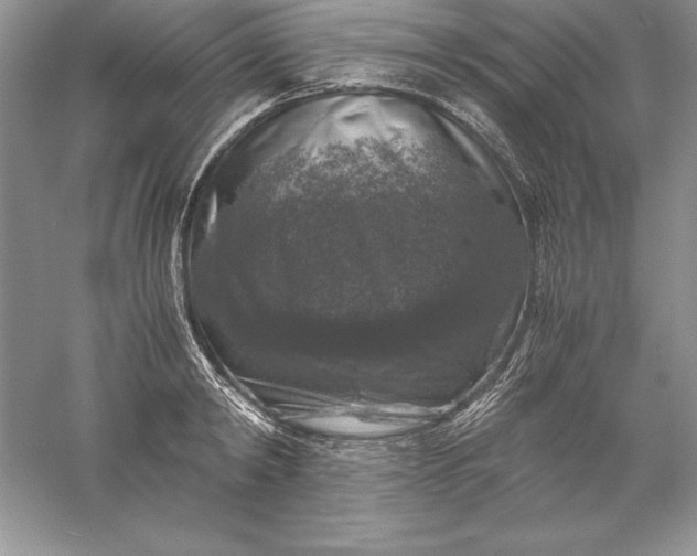 X0000055980798200509091952