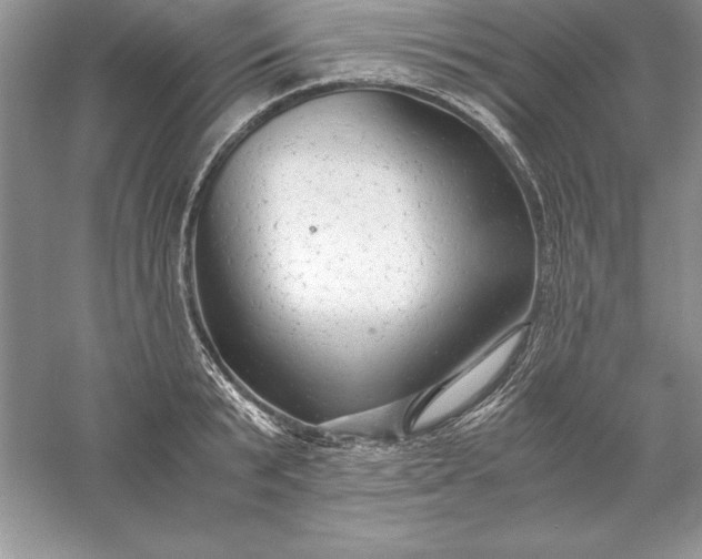 X0000055980799200509091952