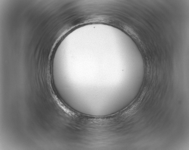 X0000055980800200509091952