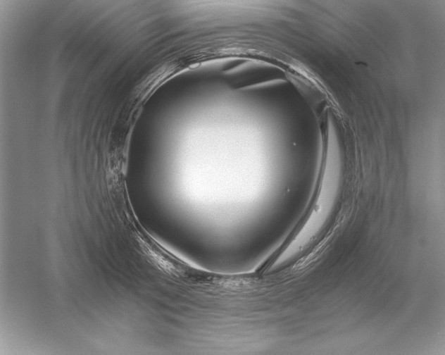 X0000055980801200509091952