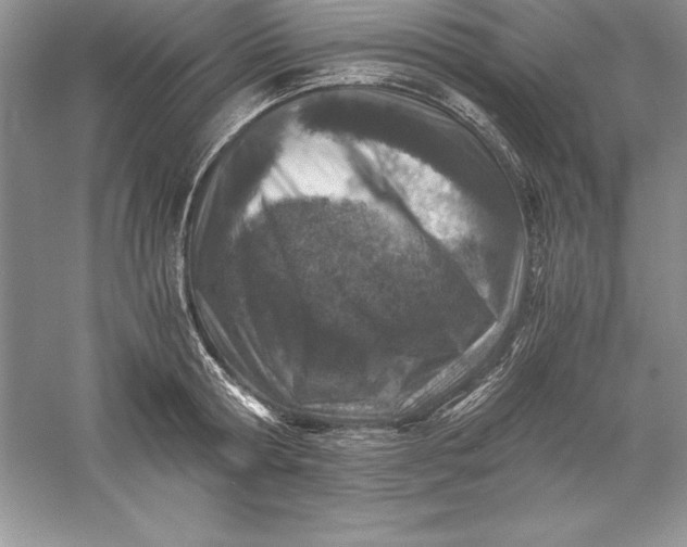 X0000055980802200509091952