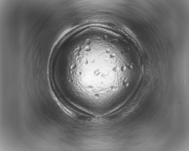 X0000055980803200509091952