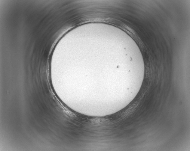 X0000055980804200509091952