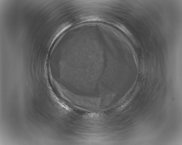 X0000055980806200509091952