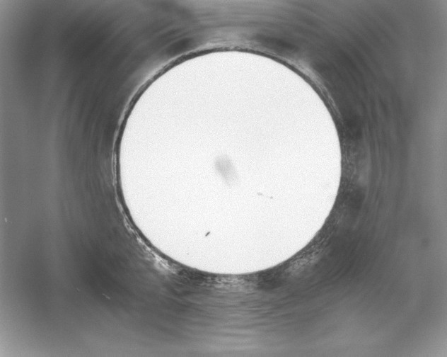 X0000055980807200509091952