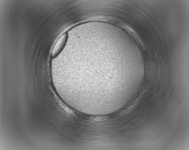 X0000055980808200509091952