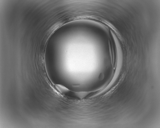 X0000055980809200509091951