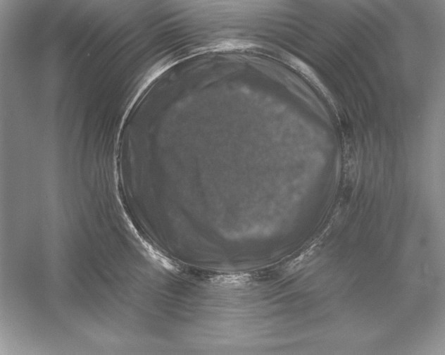 X0000055980810200509091951