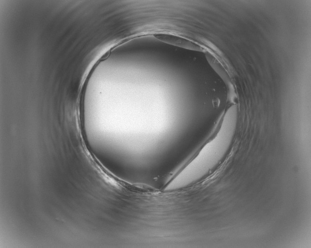 X0000055980812200509091951