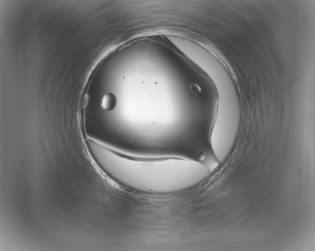 X0000055980813200509091951