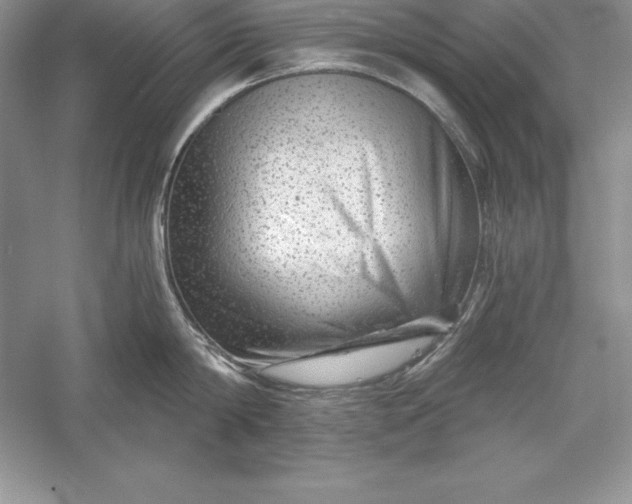 X0000055980814200509091951