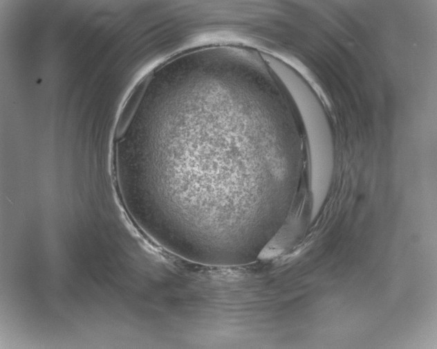 X0000055980815200509091951