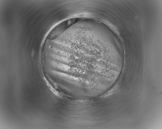 X0000055980816200509091951