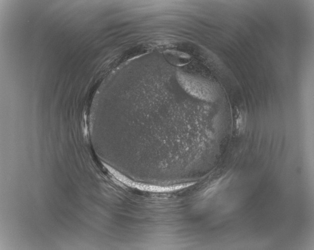 X0000055980819200509091951