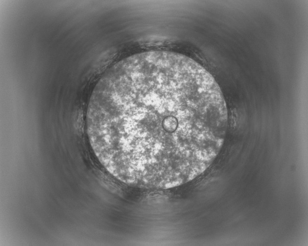 X0000055980820200509091951