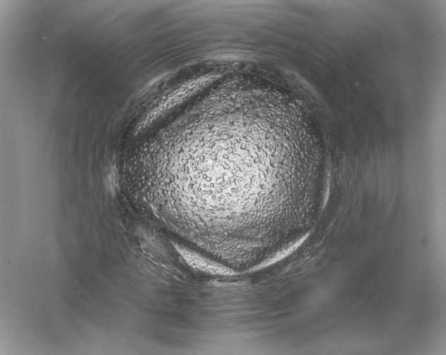 X0000055980821200509091951