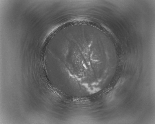 X0000055980823200509091951