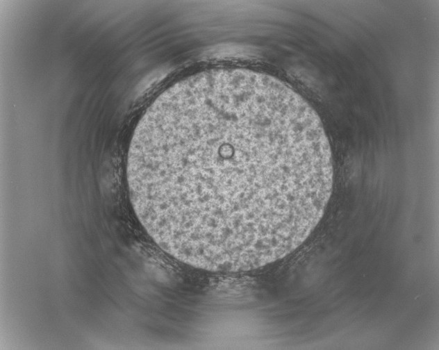 X0000055980824200509091951