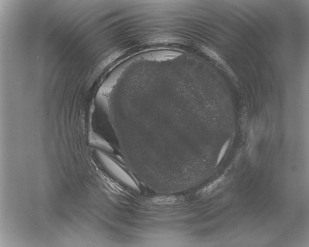 X0000055980825200509091951