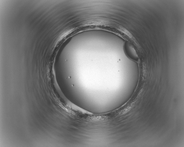 X0000055980826200509091951