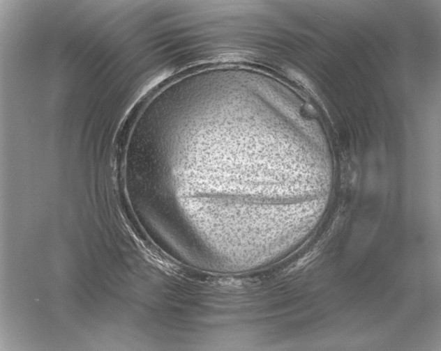 X0000055980827200509091951