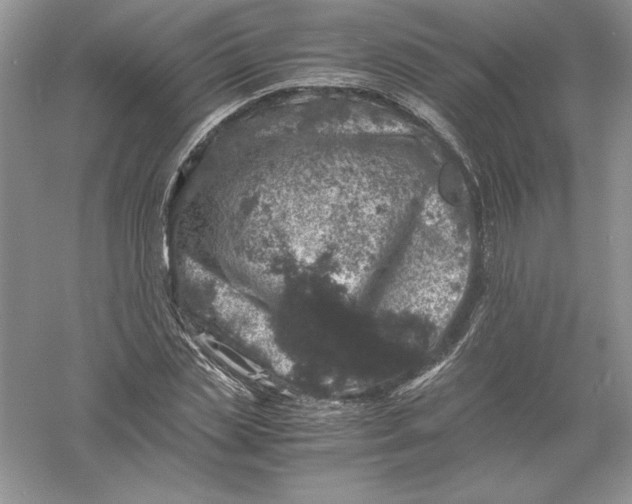 X0000055980829200509091951