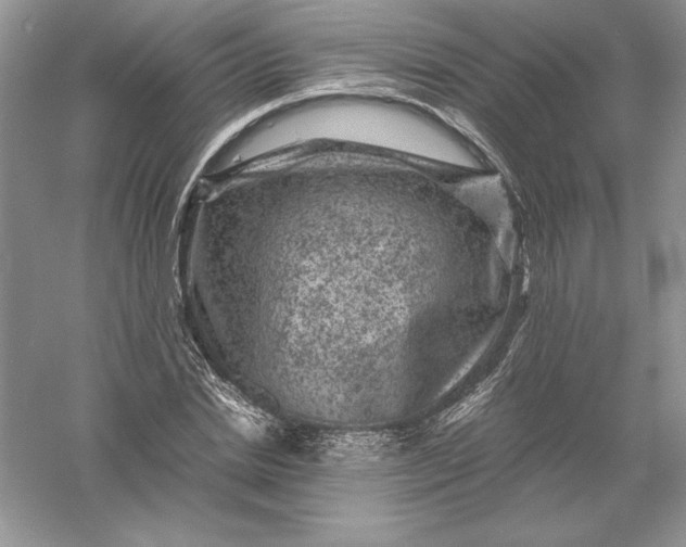 X0000055980830200509091951