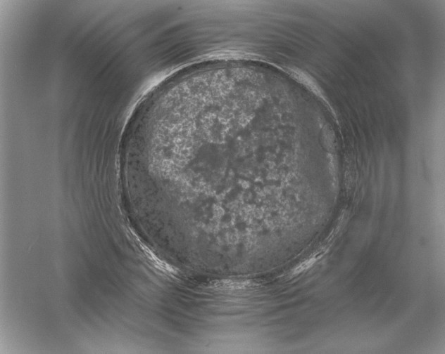 X0000055980831200509091951