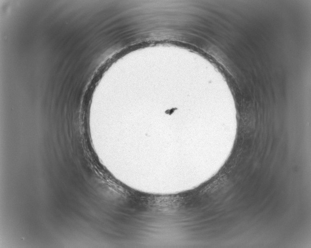 X0000055980832200509091951